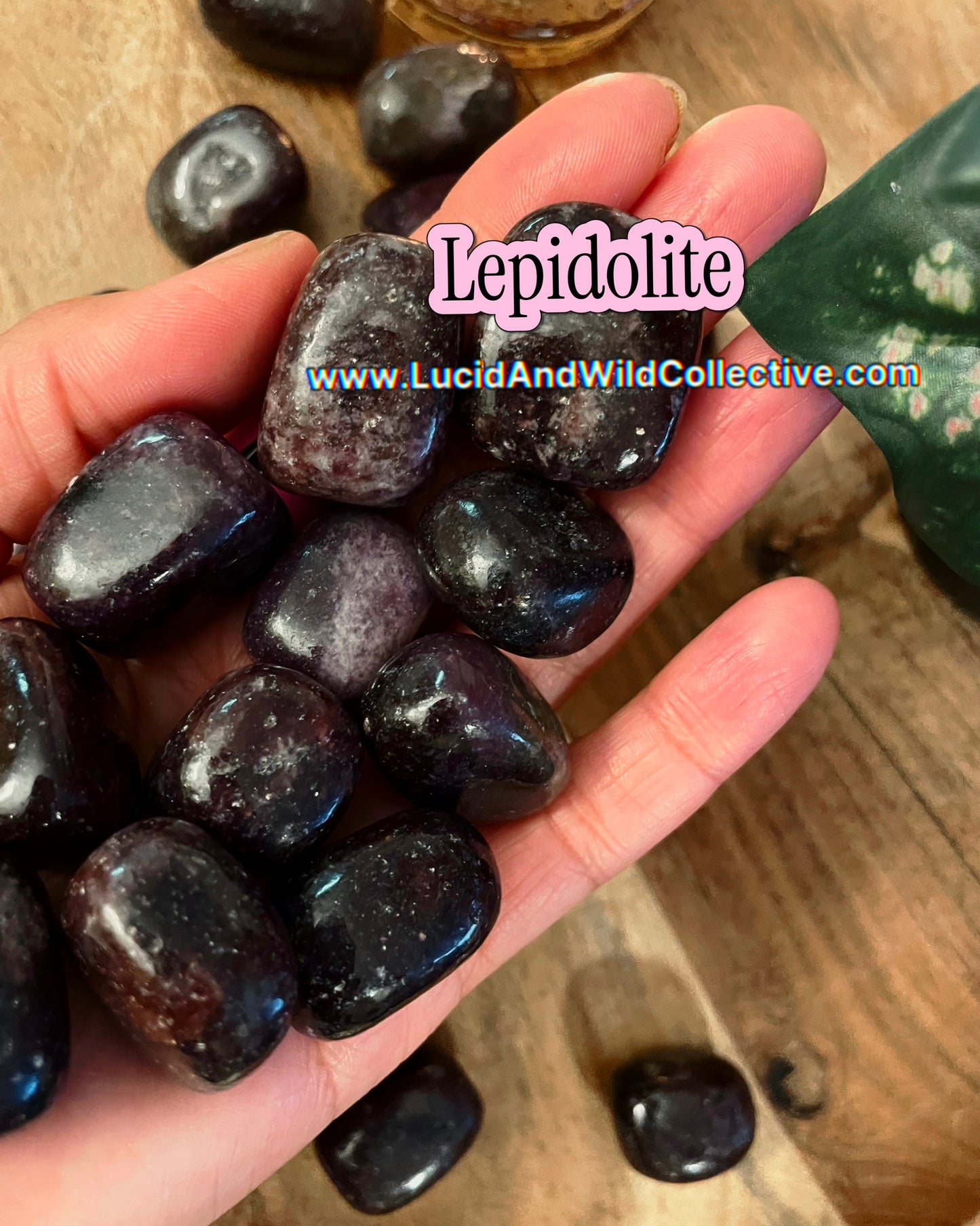 Lepidolite | Peace • Balance • Transition