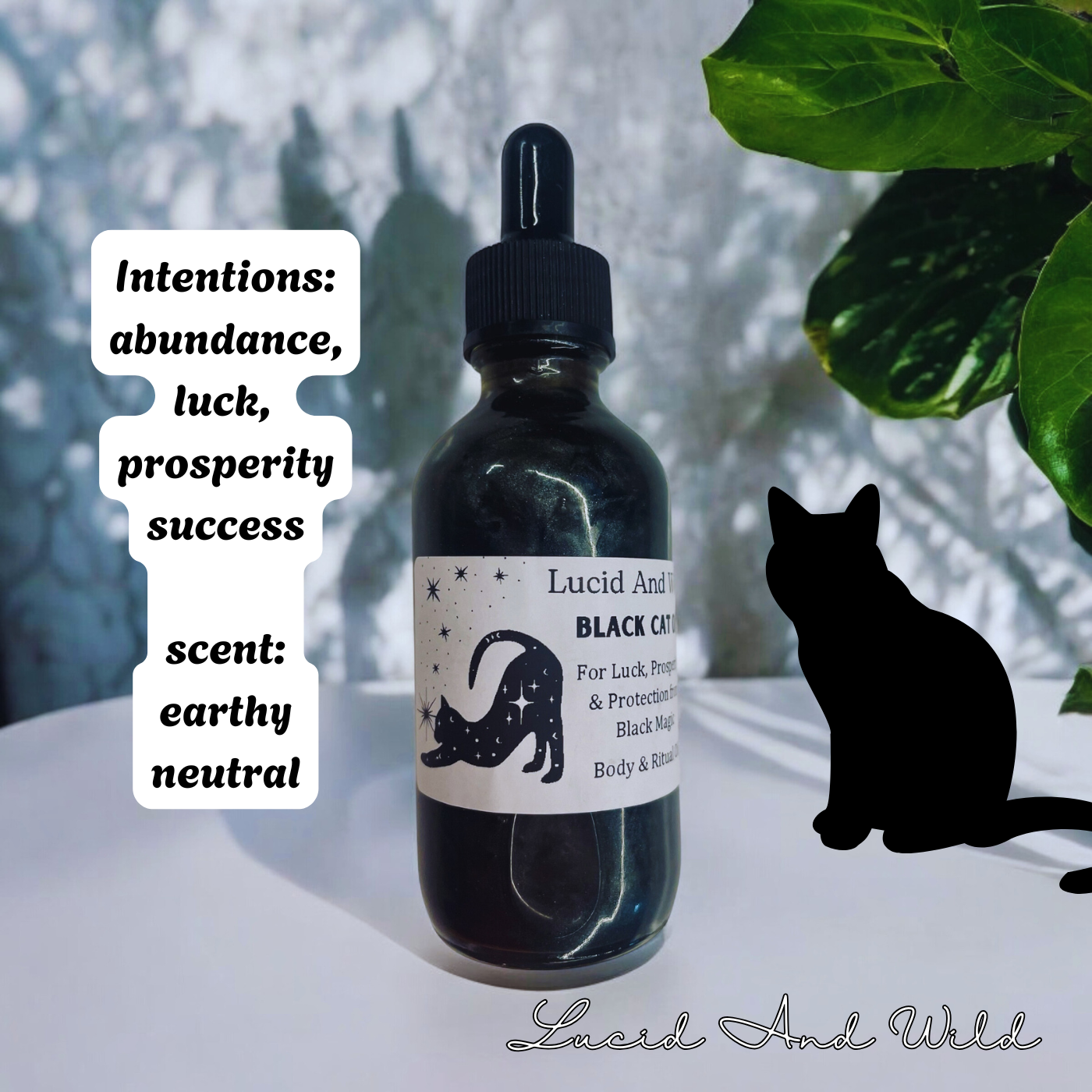 Black Cat oil- abundance, luck, prosperity, success