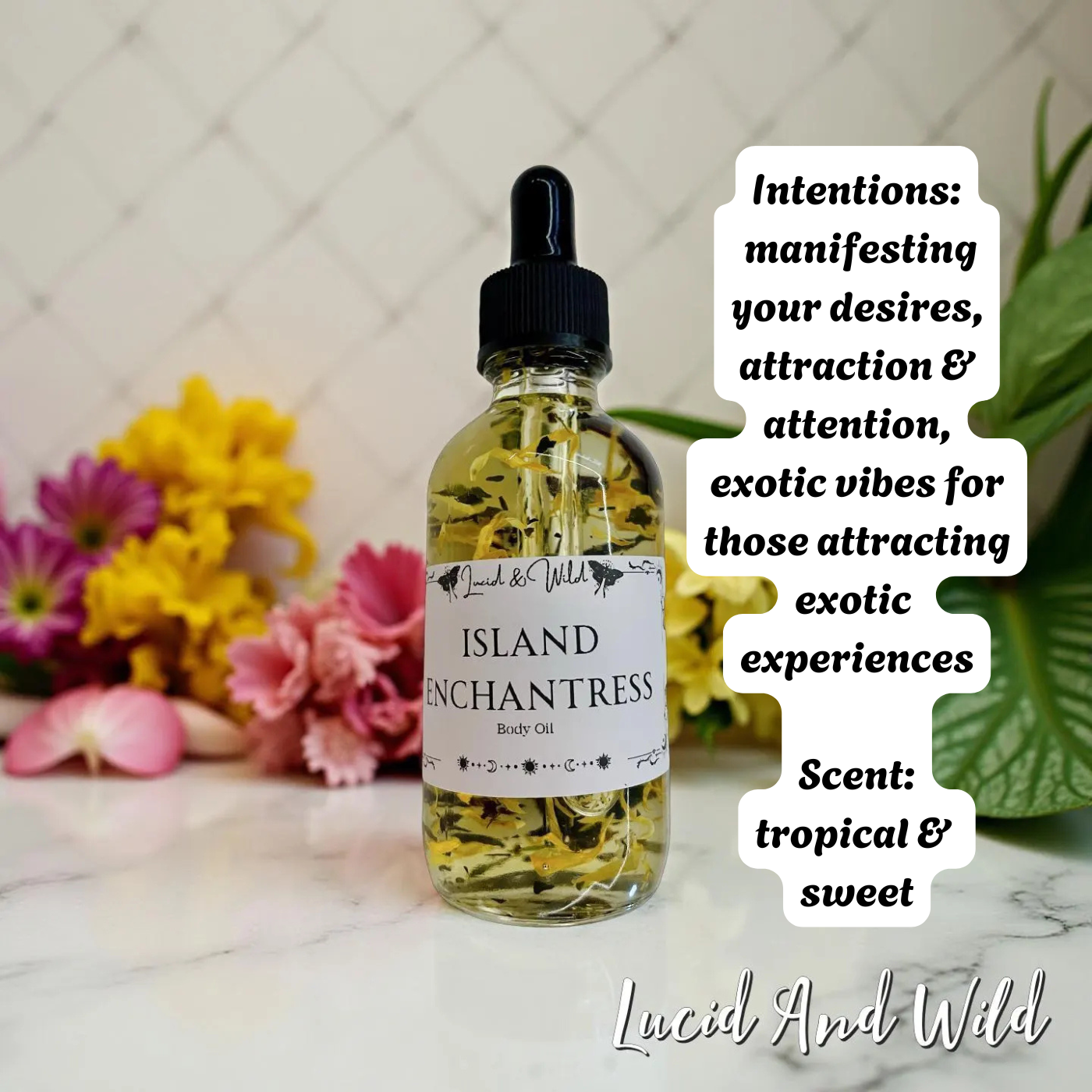 Island Enchantress- Manifestations, Goals, Attracting Exotic Opportunities
