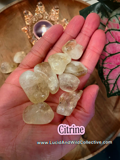 Citrine Tumbled Stone | Abundance • Optimism • Personal Power