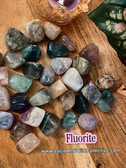 B-Grade Fluorite Tumbled Stone | Focus • Organization • Clarity