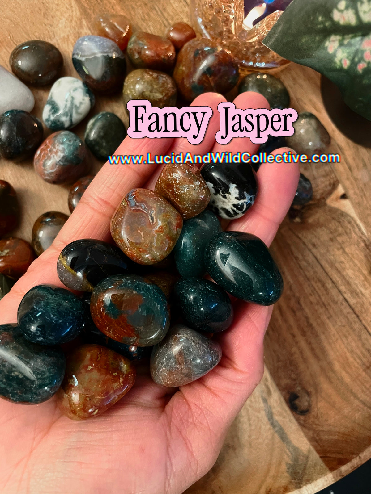 Fancy Jasper | Balance • Resilience • Grounding