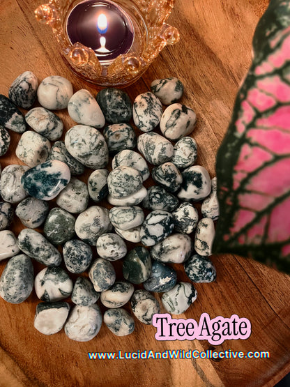 Tree Agate | Growth • Stability • Abundance