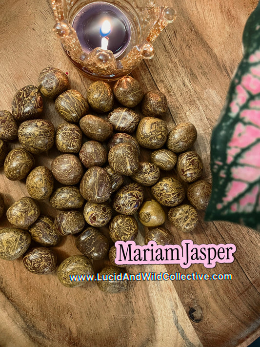 Mariam Jasper Tumbled Stone | Ancestral Wisdom • Grounding • Creativity