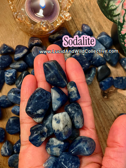 Sodalite Tumbled Stone | Communication • Intuition • Mental Clarity