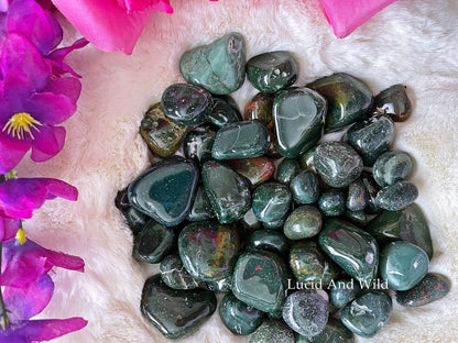 Bloodstone Tumbled Stone .75 -1 inch size