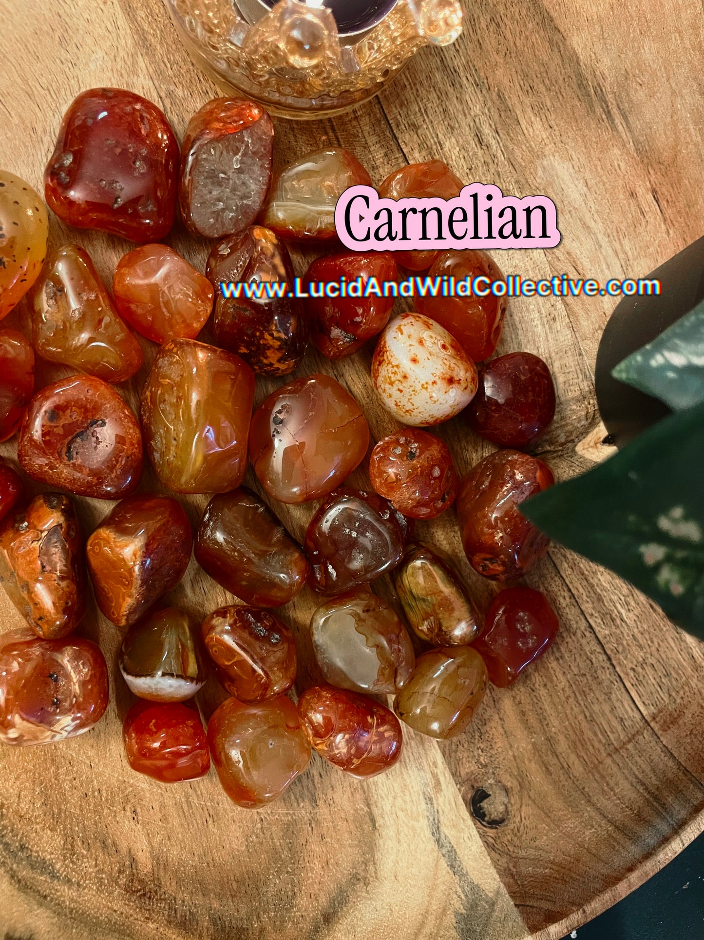 Carnelian Tumbled Stone | Confidence • Creativity • Motivation
