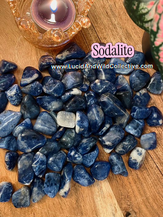 Sodalite Tumbled Stone | Communication • Intuition • Mental Clarity