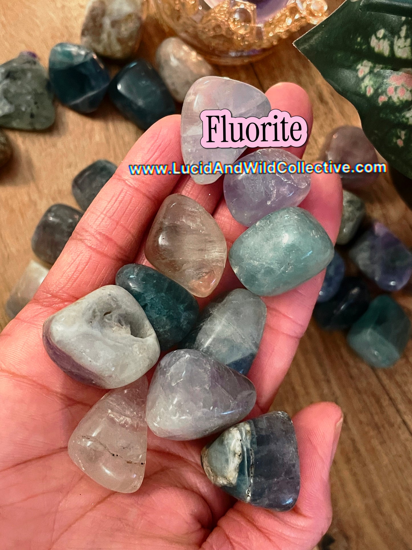 B-Grade Fluorite Tumbled Stone | Focus • Organization • Clarity