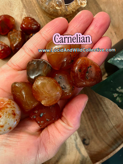 Carnelian Tumbled Stone | Confidence • Creativity • Motivation