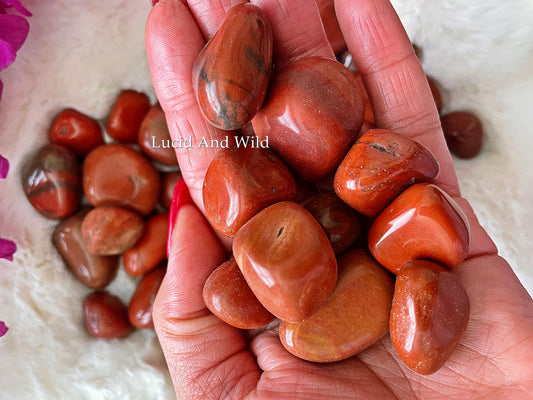 Red Jasper Tumbled Stone .75 -1 inch size