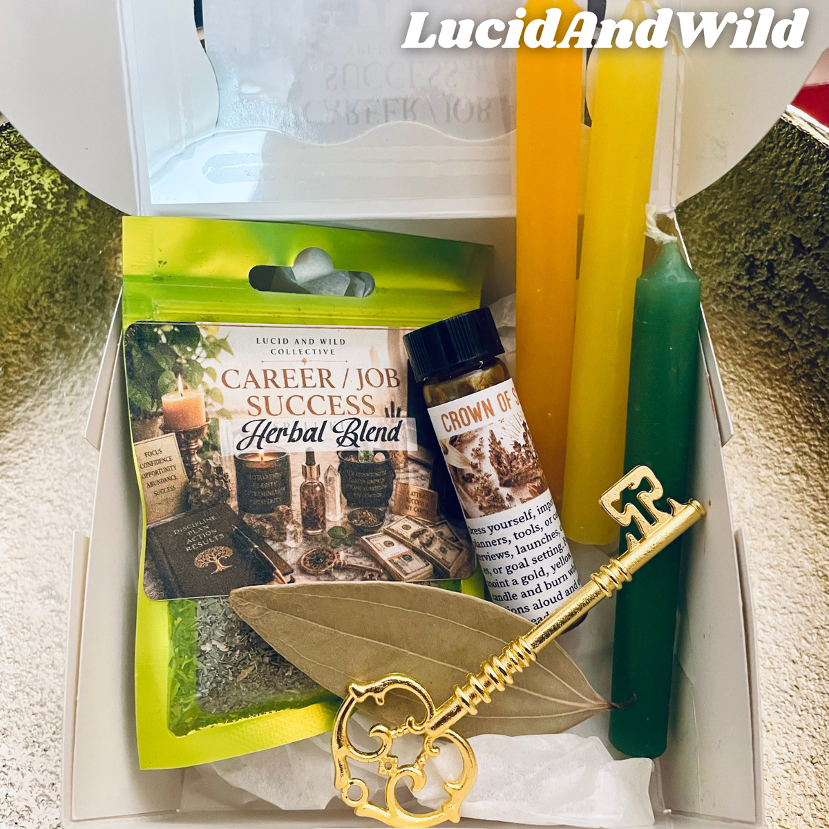 Career Success and Job Success Spell Kit