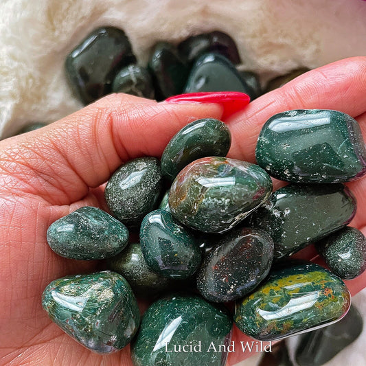 Bloodstone Tumbled Stone .75 -1 inch size