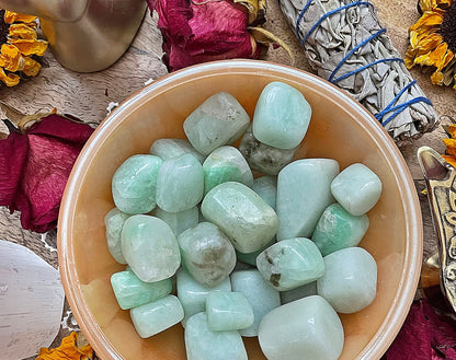 Amazonite Tumbled Stone .75 -1 inch size