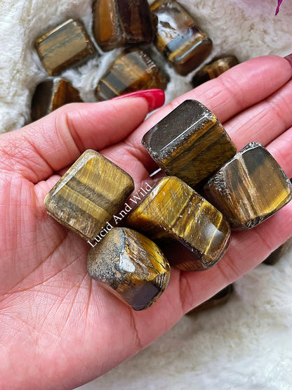 Tiger Eye Tumbled Stone .75 -1 inch size