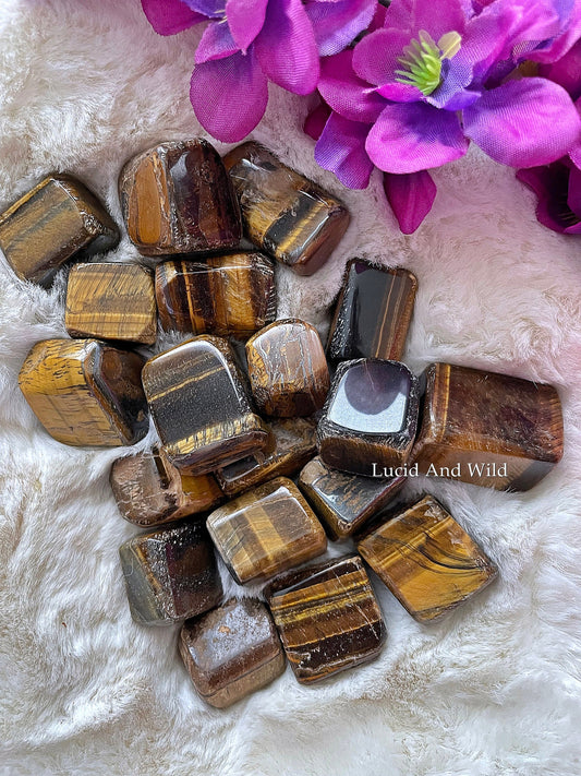 Tiger Eye Tumbled Stone .75 -1 inch size