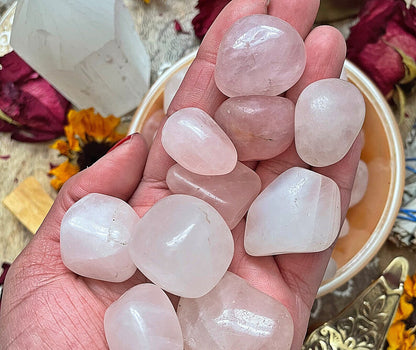 Rose Quartz Tumbled Stone .75 -1 inch size