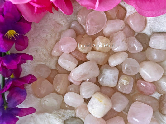 Rose Quartz Tumbled Stone .75 -1 inch size