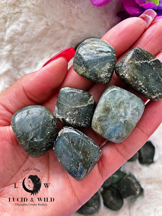Labroadorite Tumbled Stone .75 -1 inch size