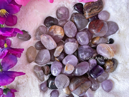 Amethyst Tumbled Stone .75 -1 inch size
