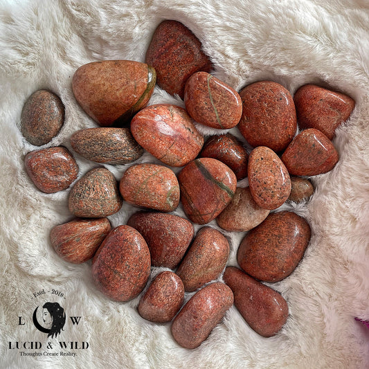 Unakite Tumbled Stone .75 -1 inch size